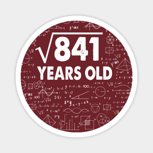 Square Root of 841 29th Birthday 29 Years Old Math Science Lover Gifts Nerdy Geeky Gift Idea Magnet